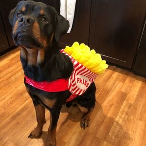 Thrills & Chills French Fries Halloween Costume for Dogs size L